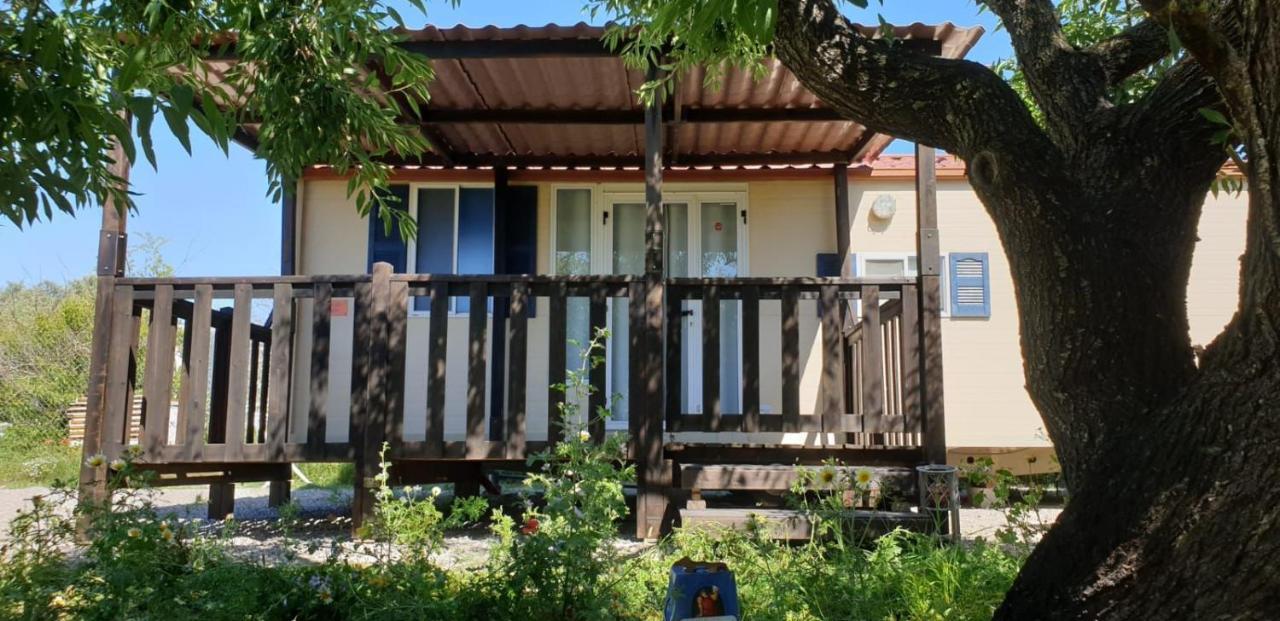 The Farm Tiny House - Tiny Casa Hotell Chiclana de la Frontera Exteriör bild