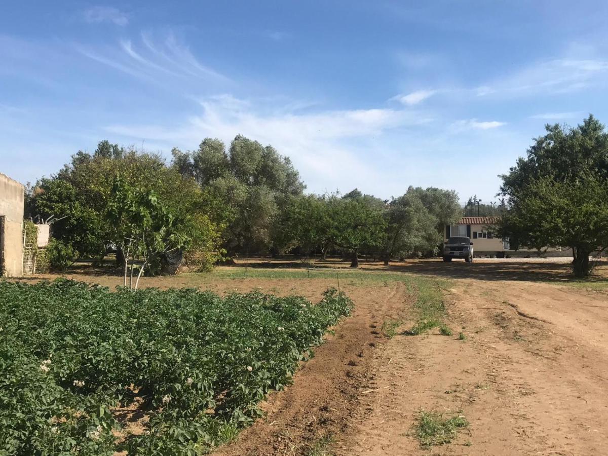 The Farm Tiny House - Tiny Casa Hotell Chiclana de la Frontera Exteriör bild